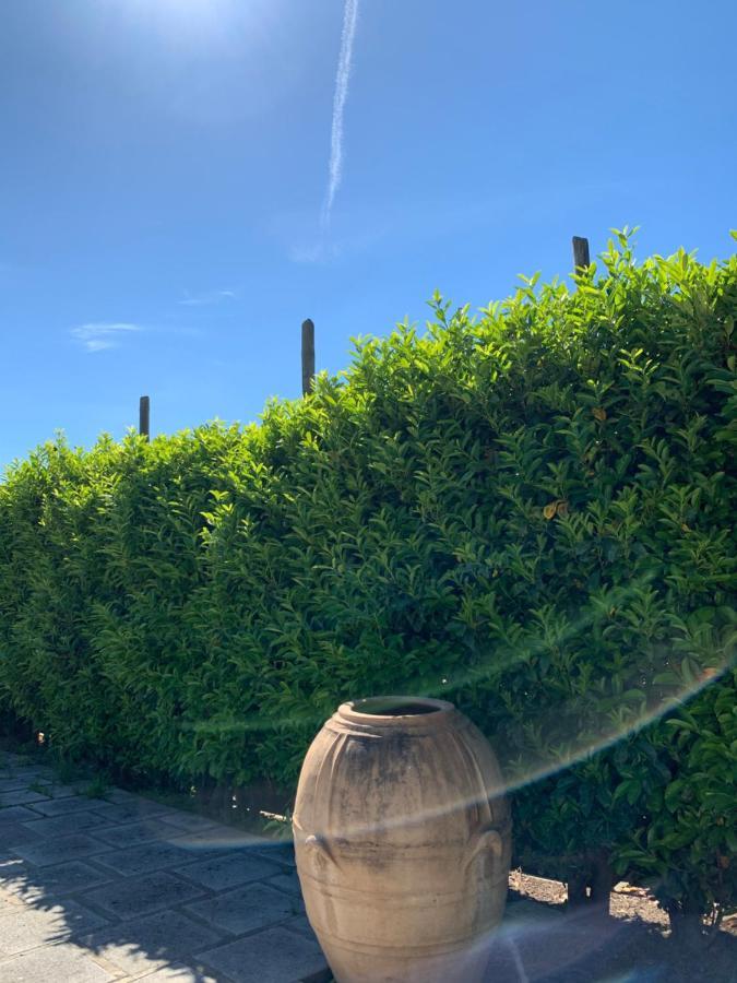 La Casa Del Sole Bed & Breakfast วีโกเอเกวนเซ ภายนอก รูปภาพ