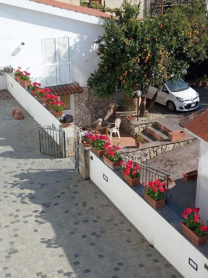 La Casa Del Sole Bed & Breakfast วีโกเอเกวนเซ ภายนอก รูปภาพ